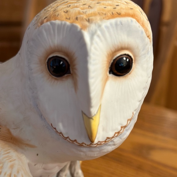 The Barn Owl The Franklin Mint 1987 - Picture 4 of 9